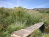 Santa Fe River